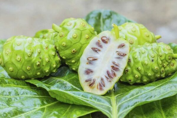Biostile Noni with grape - Noni Traubensaft